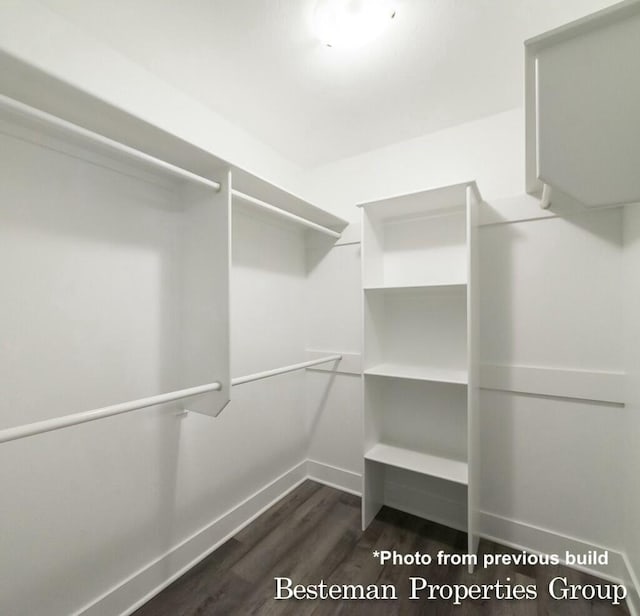 spacious closet with dark wood finished floors