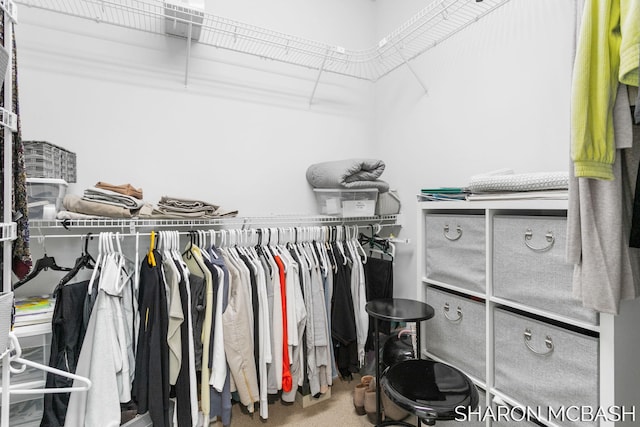 walk in closet with carpet floors