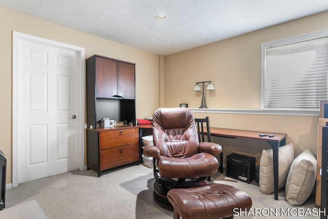 living area with light colored carpet