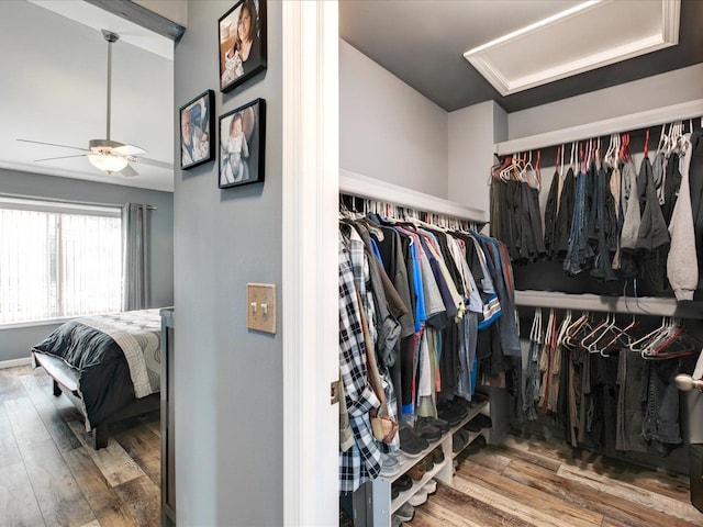 walk in closet featuring a ceiling fan and wood finished floors