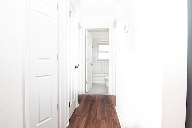 hallway with dark wood-type flooring