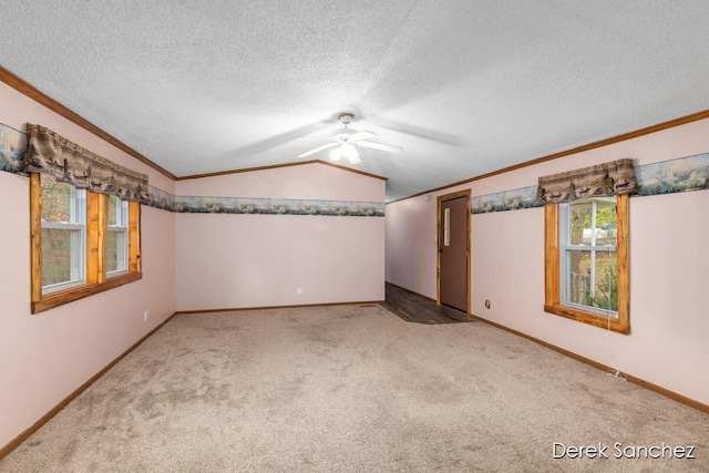 unfurnished room featuring lofted ceiling, carpet, and ornamental molding