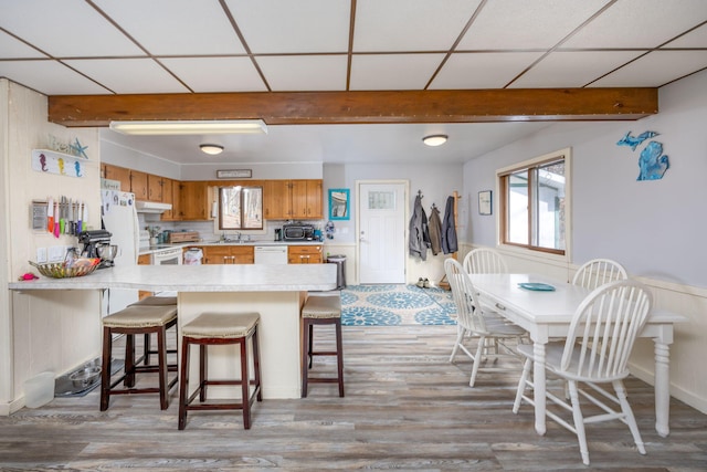 kitchen featuring dishwasher, light countertops, plenty of natural light, and a peninsula