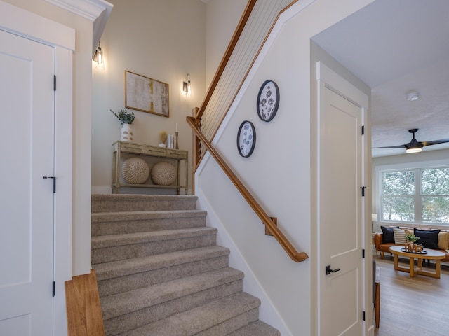 stairway featuring a ceiling fan and wood finished floors