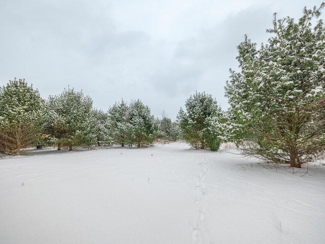 view of snowy yard