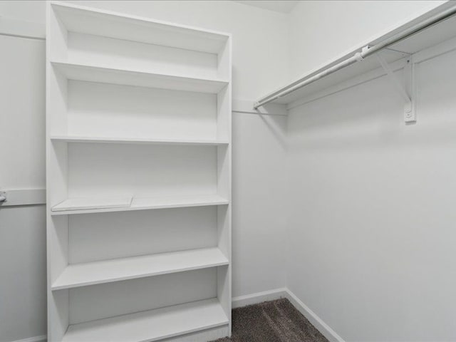 walk in closet with dark colored carpet