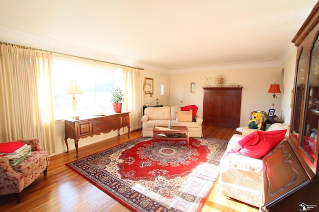 living room featuring wood-type flooring