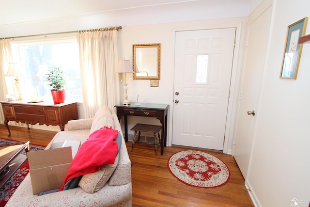 entryway featuring wood finished floors