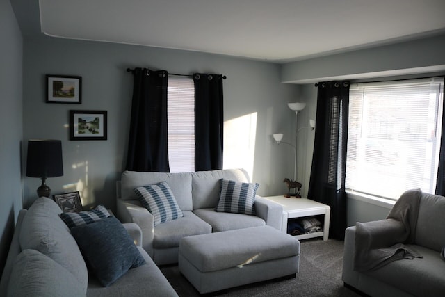 living room featuring carpet flooring