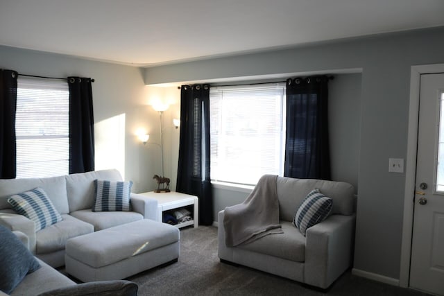 carpeted living room with a healthy amount of sunlight