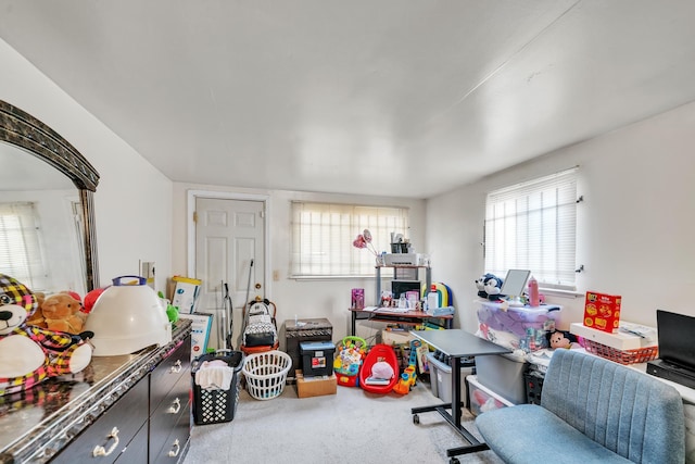 office featuring carpet floors