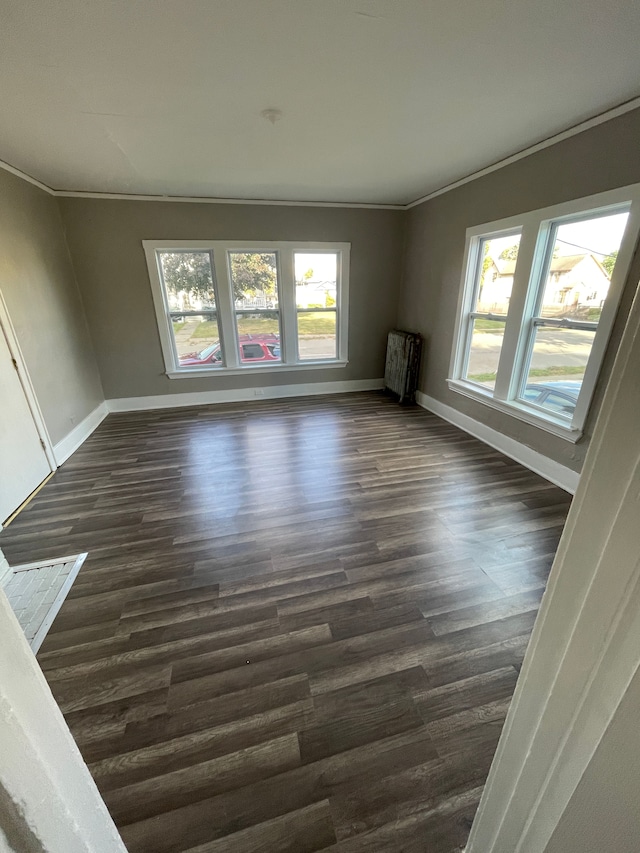 unfurnished living room with dark wood finished floors, a healthy amount of sunlight, and baseboards