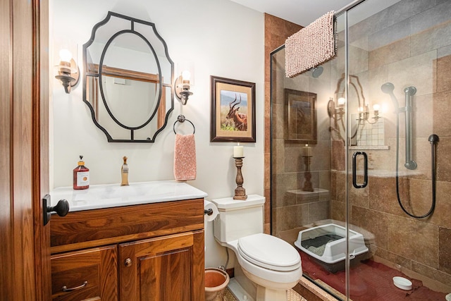 full bathroom featuring toilet, a stall shower, and vanity