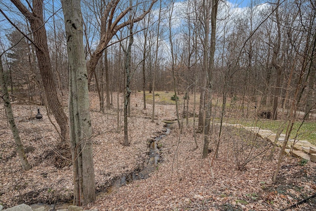 view of landscape