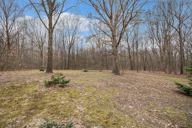 view of nature with a forest view