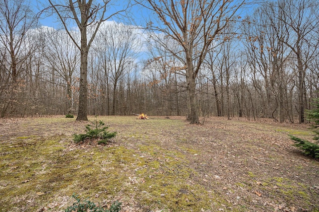 view of local wilderness with a forest view
