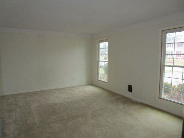 unfurnished room with carpet floors and a healthy amount of sunlight