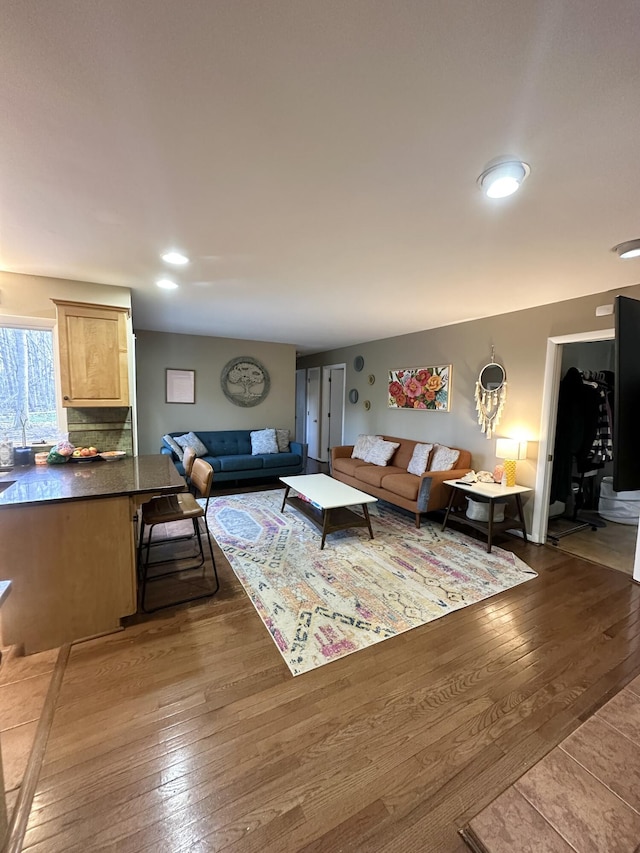 living area featuring hardwood / wood-style floors