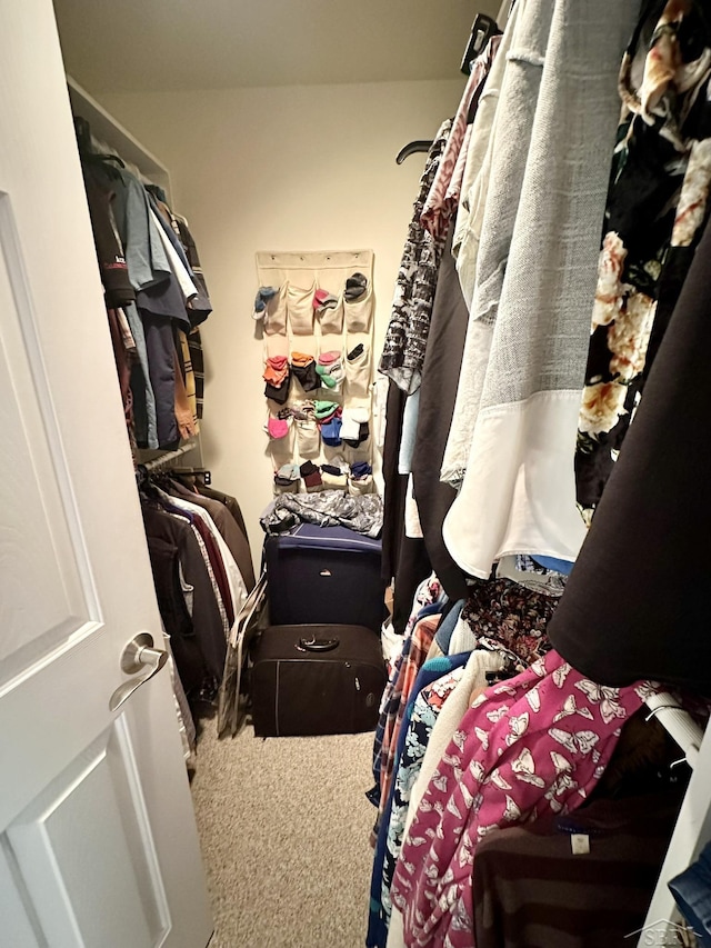 spacious closet with carpet flooring