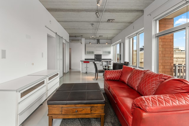 living room featuring track lighting