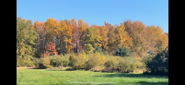 view of nature with a view of trees