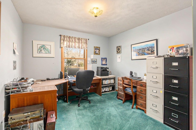 carpeted office with a textured ceiling