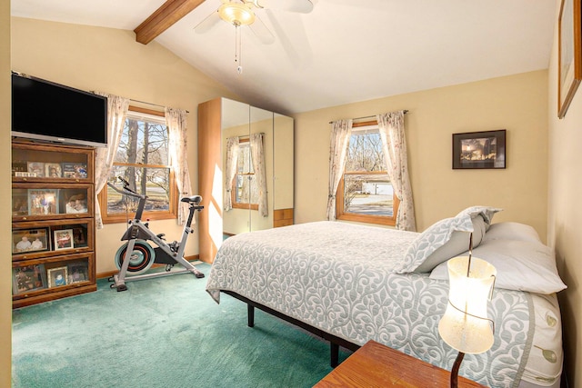 bedroom with carpet flooring, multiple windows, vaulted ceiling with beams, and ceiling fan