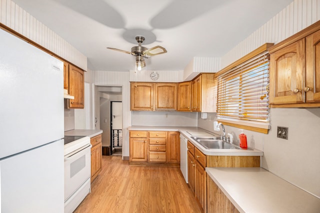 kitchen with white appliances, light wood finished floors, ceiling fan, light countertops, and under cabinet range hood