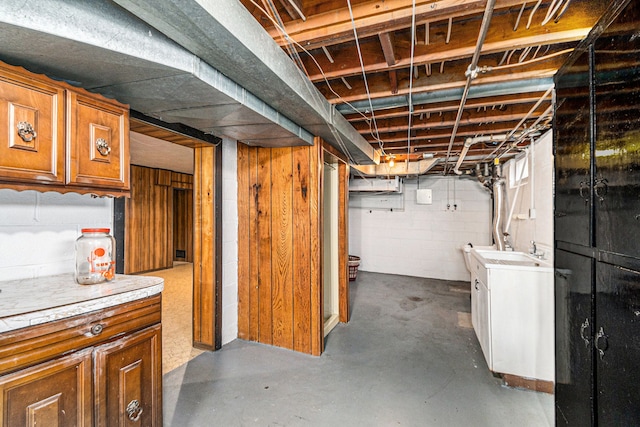 unfinished basement featuring a sink