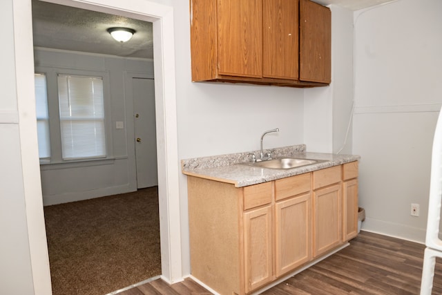 kitchen with baseboards, light countertops, dark wood-style floors, a textured ceiling, and a sink