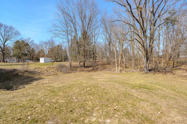 view of yard featuring a storage shed and an outdoor structure