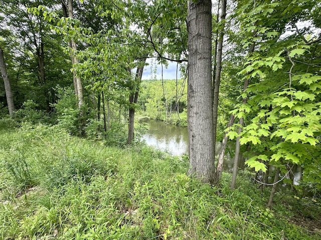 view of landscape featuring a forest view and a water view