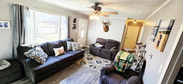 living area featuring crown molding, baseboards, ceiling fan, wood finished floors, and a textured ceiling