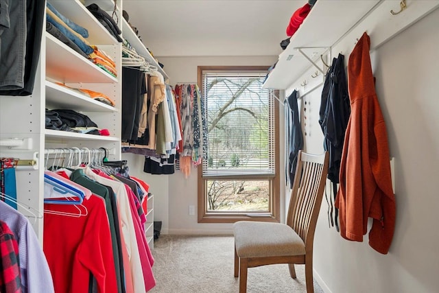 spacious closet with carpet