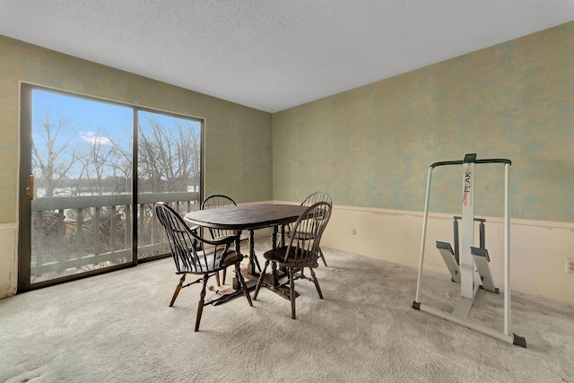 carpeted dining area featuring a wainscoted wall, wallpapered walls, and a textured ceiling