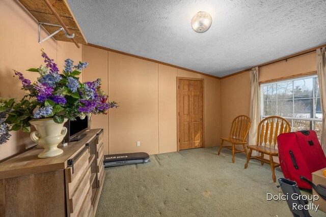 workout room with vaulted ceiling, a textured ceiling, crown molding, and carpet floors