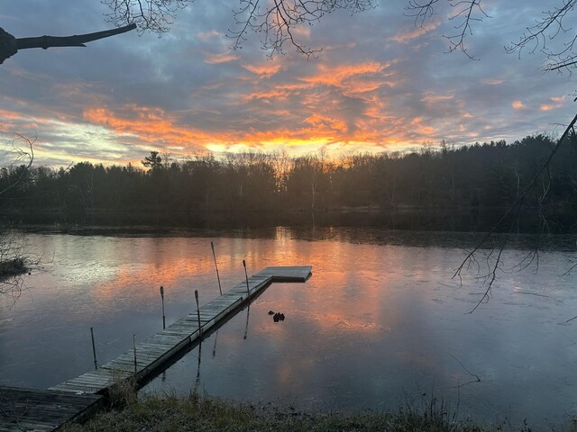 view of dock with a forest view and a water view