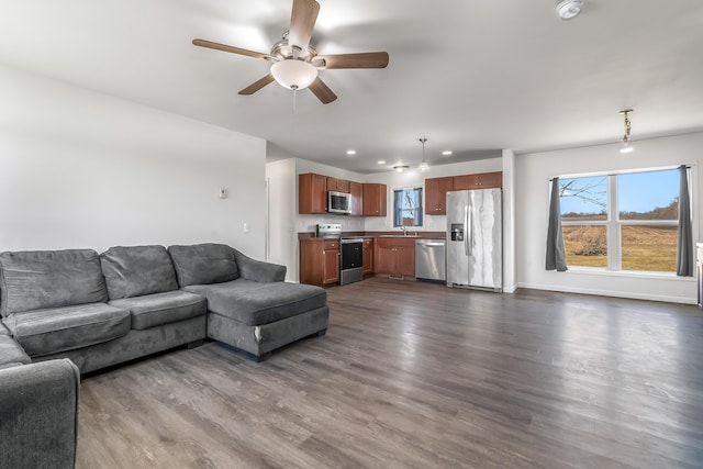 living area with baseboards, plenty of natural light, and dark wood-style flooring