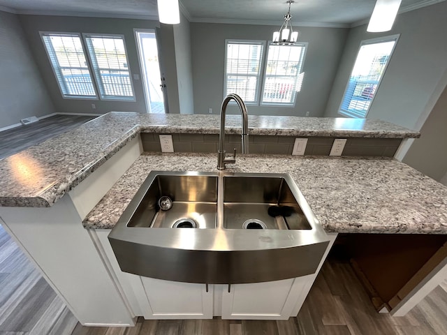 kitchen with plenty of natural light, wood finished floors, crown molding, and a sink