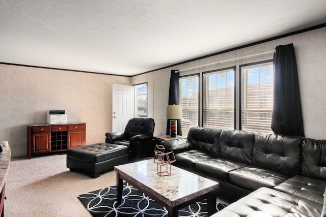 living area featuring ornamental molding, carpet, and a textured ceiling