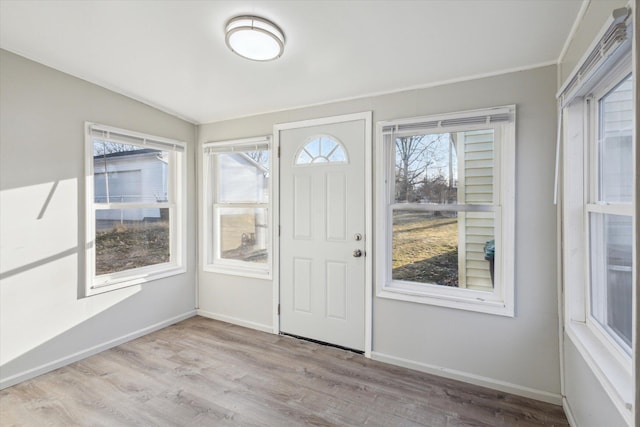 entrance foyer with wood finished floors, baseboards, and a wealth of natural light