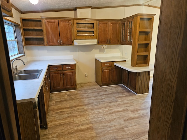 kitchen featuring open shelves, ornamental molding, light wood-style floors, a textured ceiling, and a sink