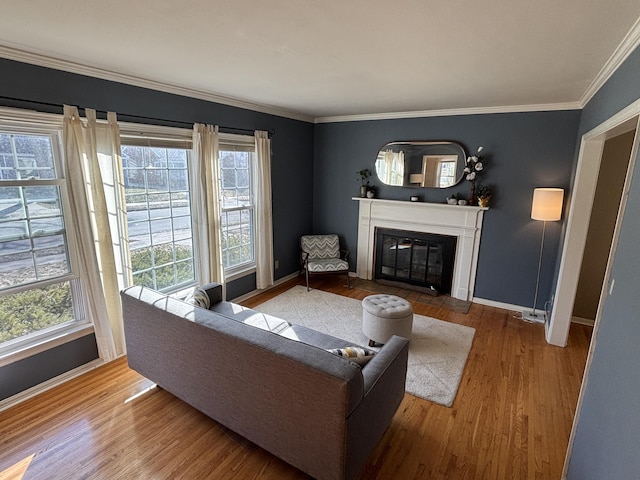 living area featuring crown molding, a fireplace with flush hearth, wood finished floors, and baseboards