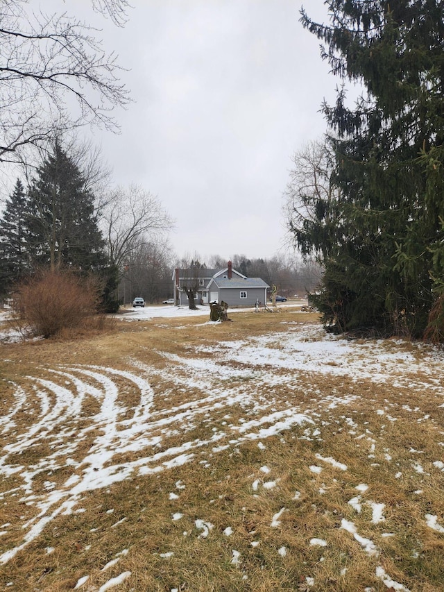 view of yard covered in snow