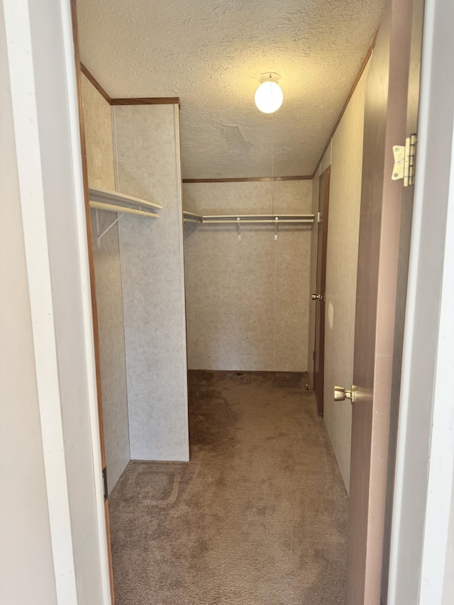 spacious closet with carpet