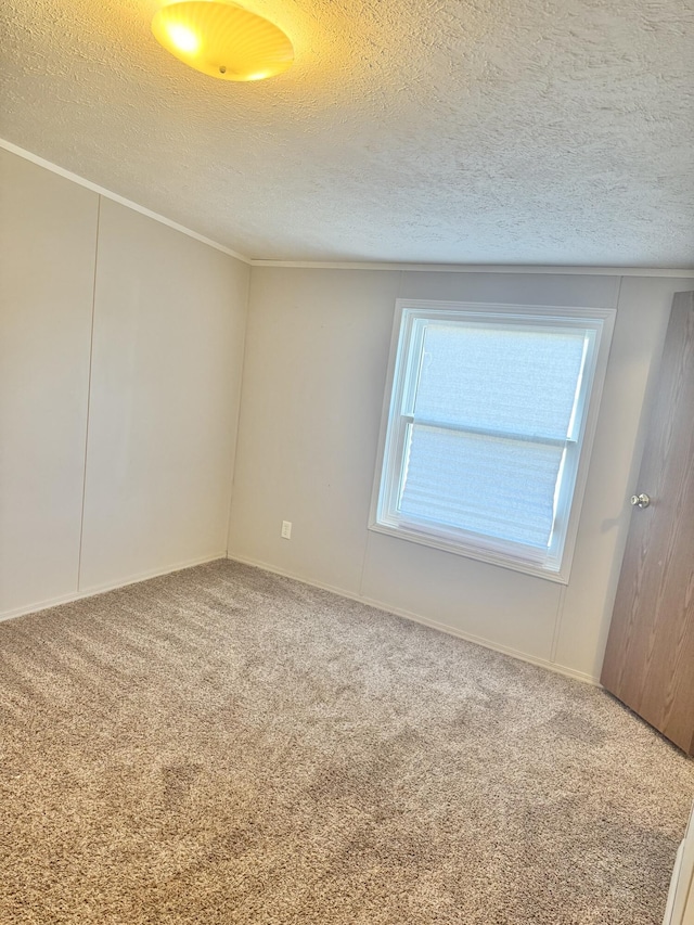 carpeted spare room with a textured ceiling