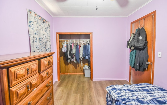 bedroom with a spacious closet, light wood-style flooring, crown molding, and a closet