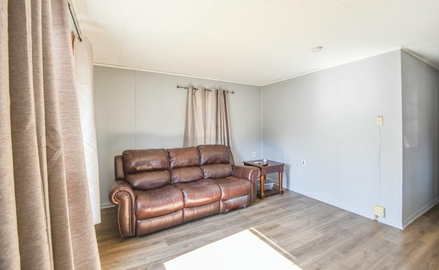 living room featuring light wood-style flooring