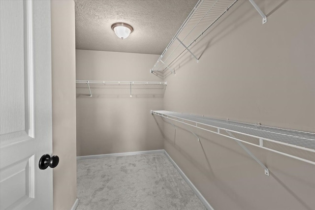 walk in closet featuring carpet