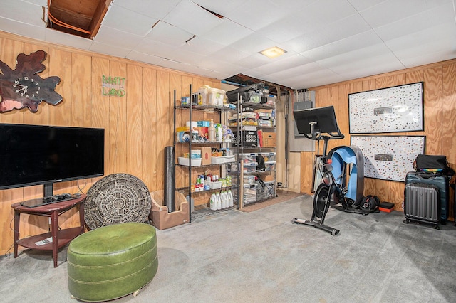 exercise area featuring wooden walls and carpet